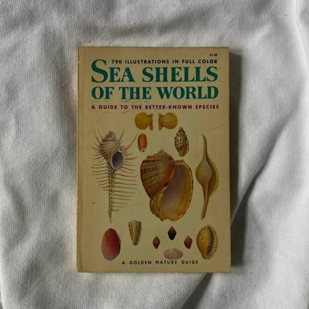 Vintage Golden Nature Guide: Seashells of The World
